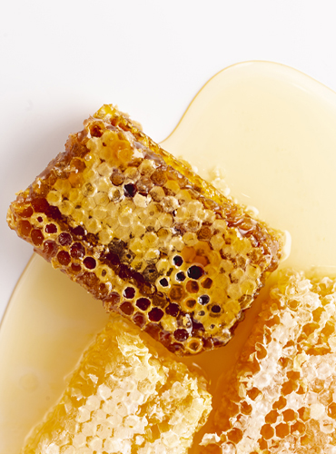 viologiki-kirithra viologiki-kirithra