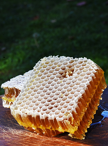 products-viologiki-kirithra